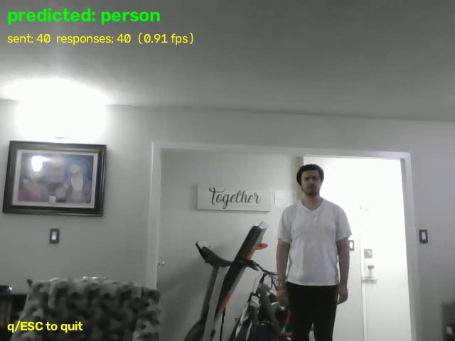 FPGA human presence detector — predicted: person